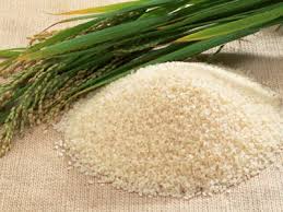 Cấp Giấy chứng nhận đủ điều kiện kinh doanh xuất khẩu gạo
